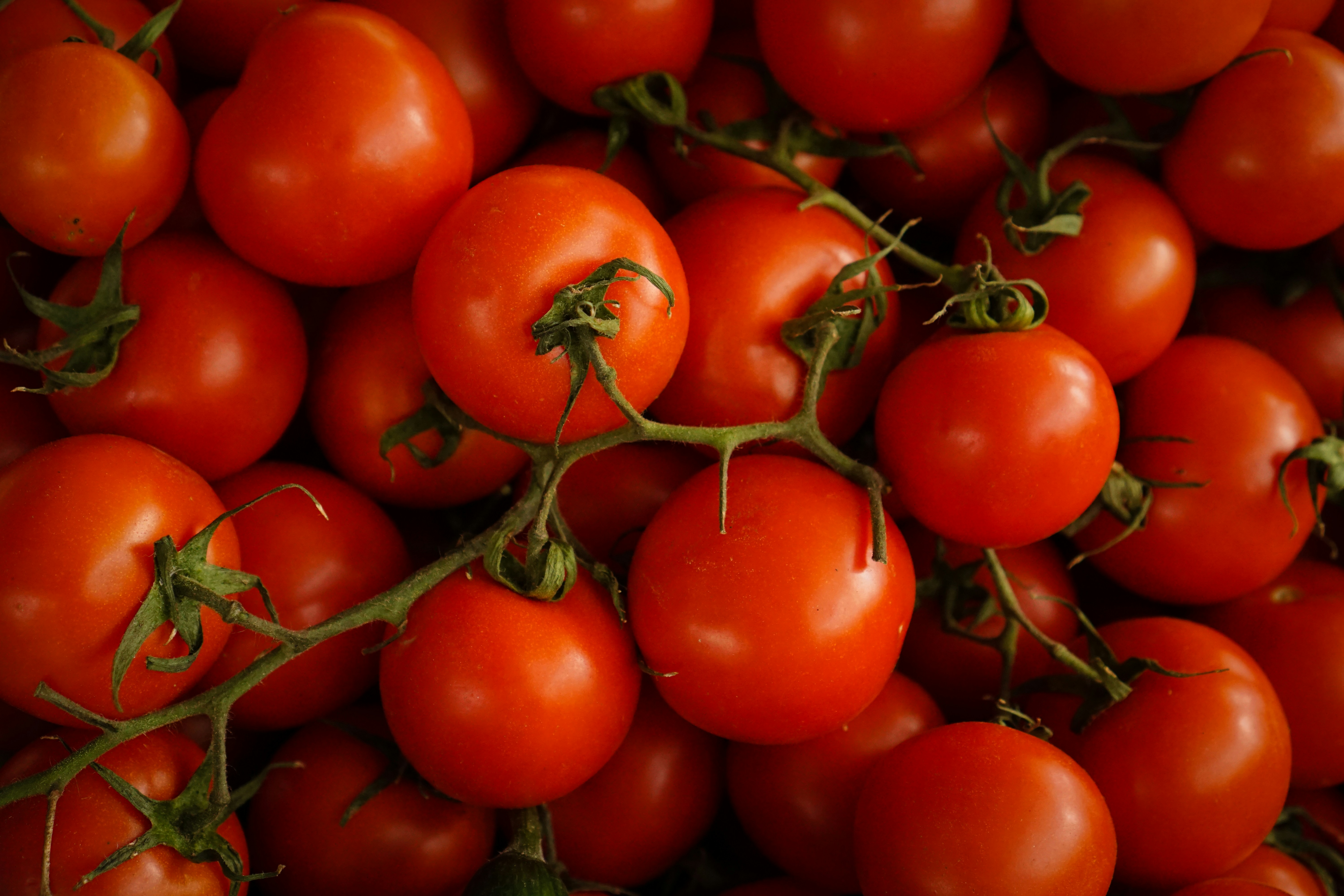 Tomate